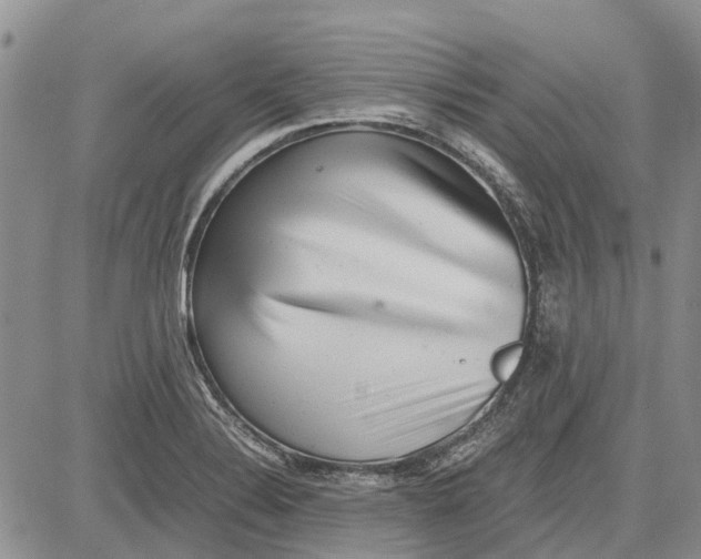 X0000081571324200702051204