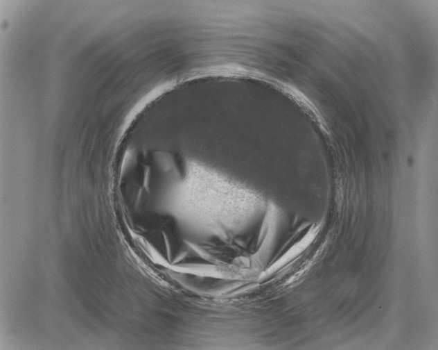 X0000081571326200702051204