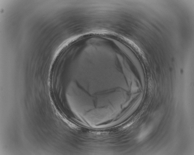 X0000081571327200702051204