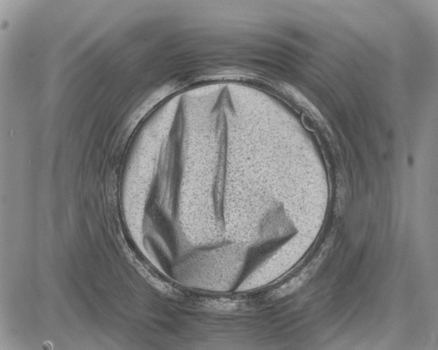 X0000081571329200702051204