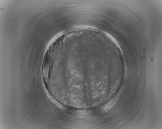 X0000081571330200702051204