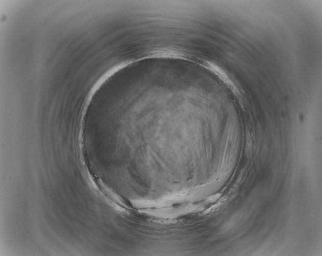 X0000081571331200702051204