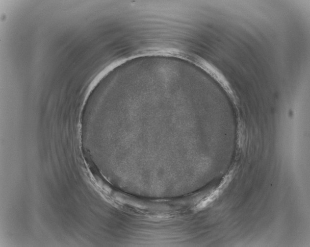 X0000081571332200702051204