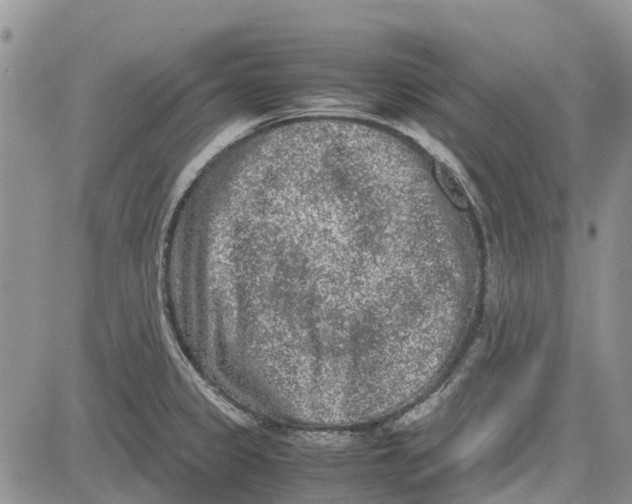 X0000081571333200702051204