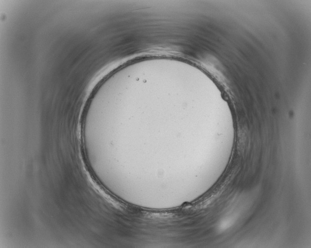 X0000081571335200702051204