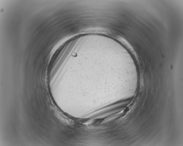 X0000081571336200702051204