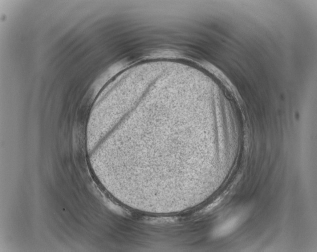 X0000081571337200702051205