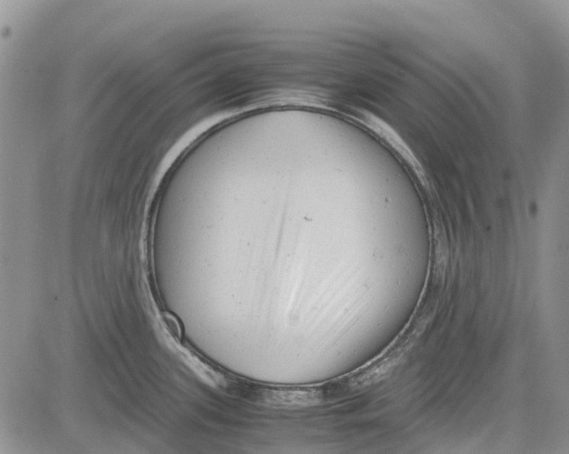 X0000081571339200702051205