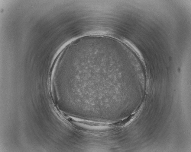 X0000081571340200702051205