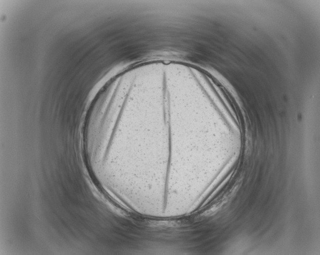 X0000081571341200702051205