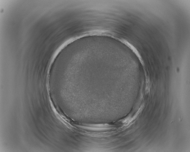 X0000081571342200702051205