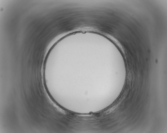 X0000081571343200702051205