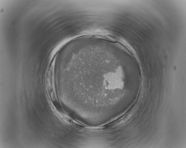 X0000081571344200702051205