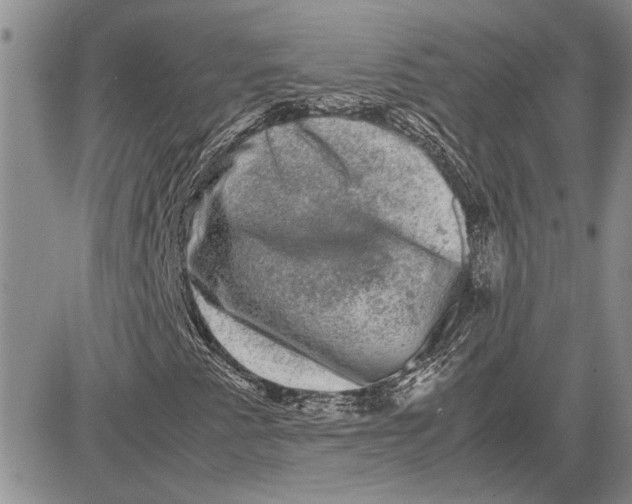 X0000081571345200702051204