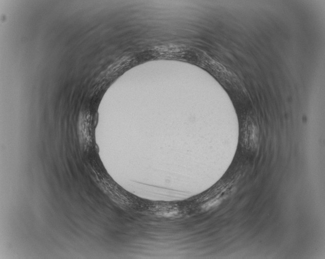 X0000081571346200702051204