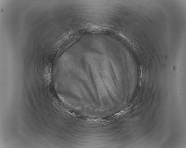 X0000081571348200702051204