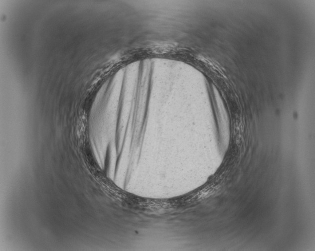 X0000081571349200702051204