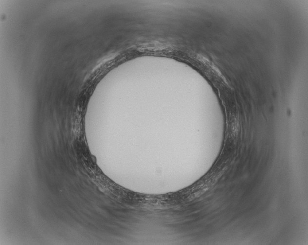 X0000081571350200702051204