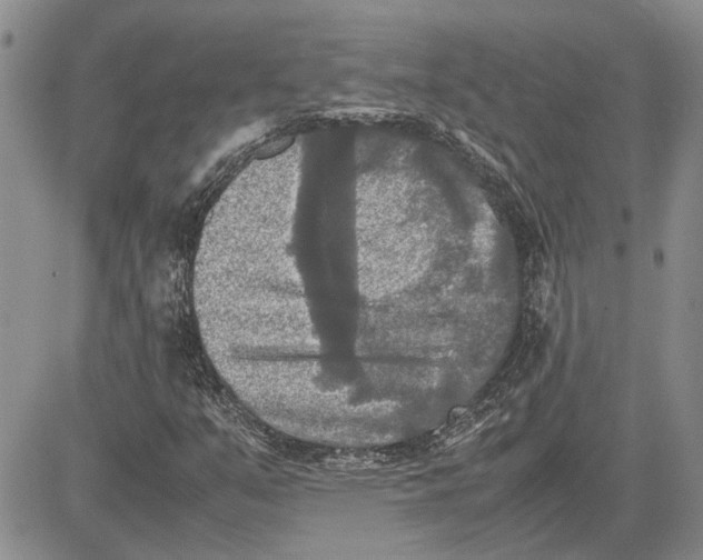 X0000081571351200702051204