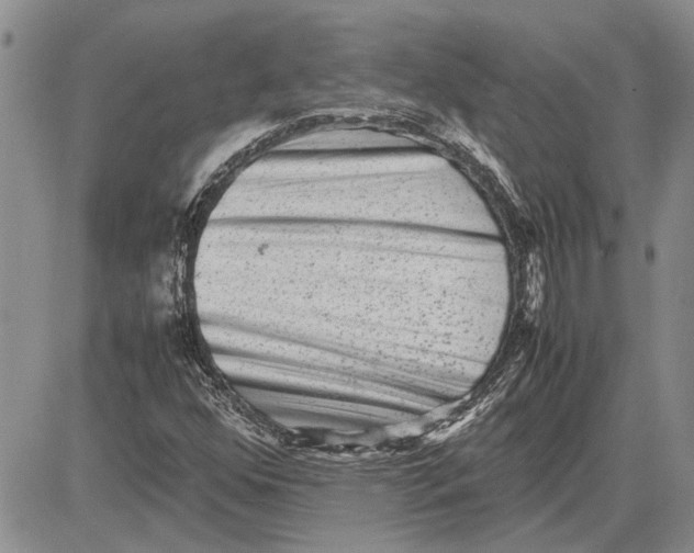 X0000081571352200702051204