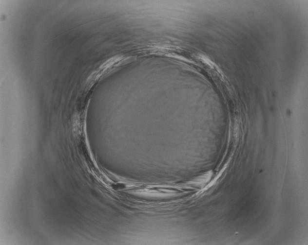 X0000081571353200702051204