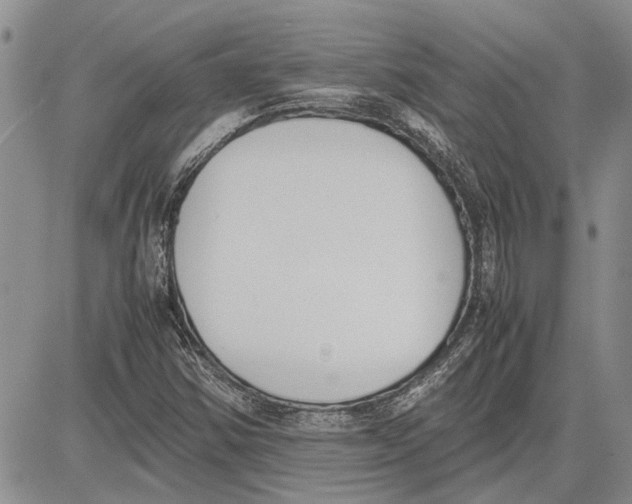 X0000081571354200702051204