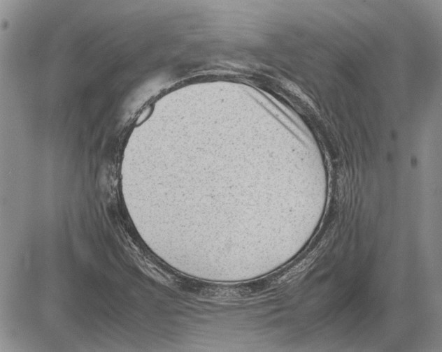 X0000081571355200702051204