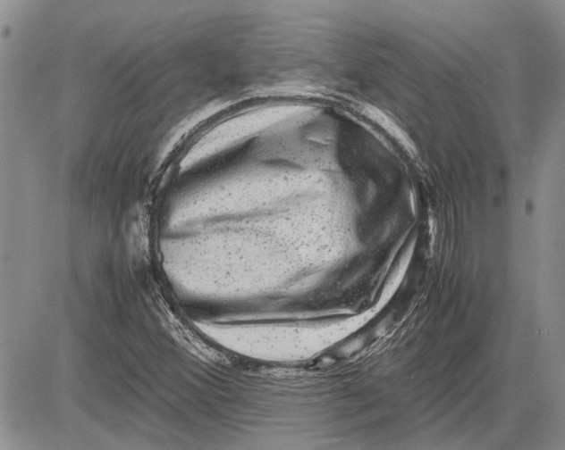 X0000081571356200702051204