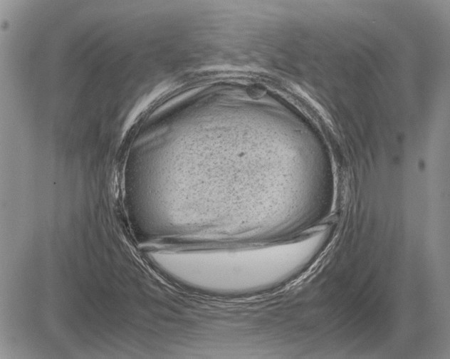 X0000081571357200702051204