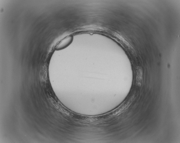 X0000081571358200702051204