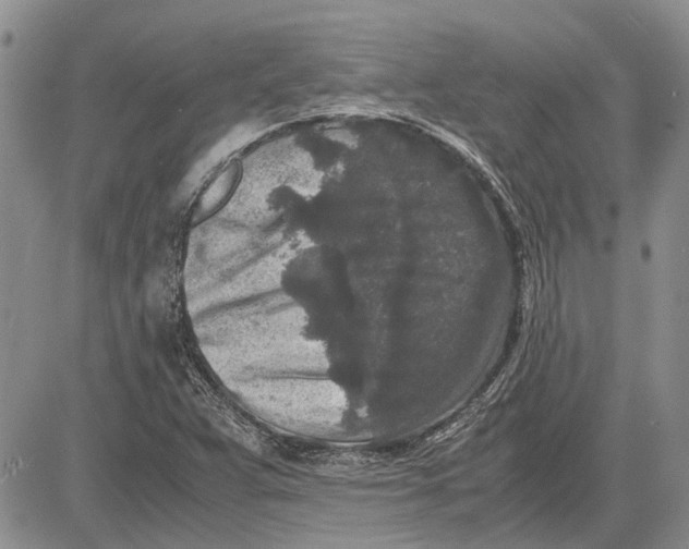 X0000081571359200702051204