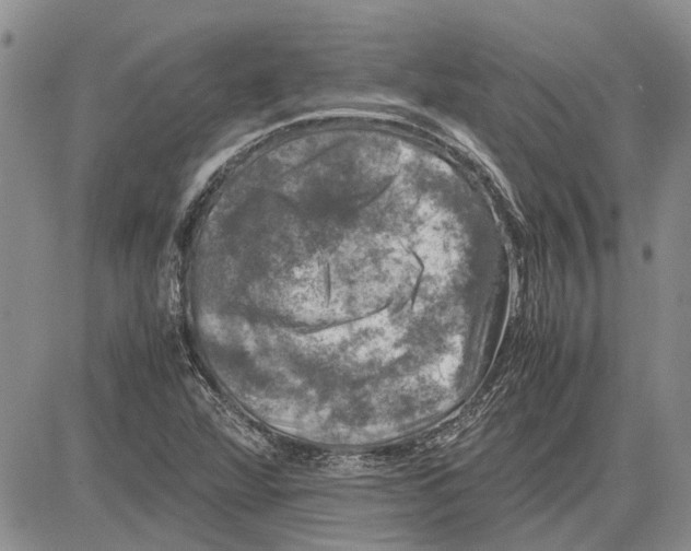 X0000081571360200702051204