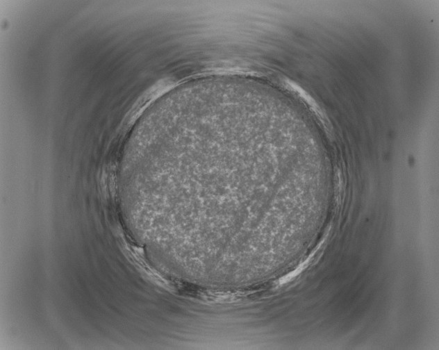 X0000081571361200702051204