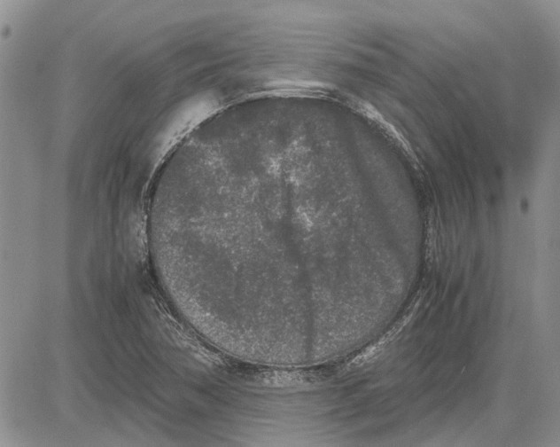 X0000081571362200702051204