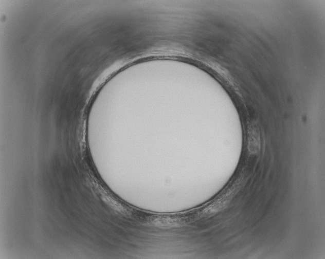 X0000081571366200702051203