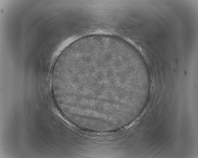 X0000081571367200702051203