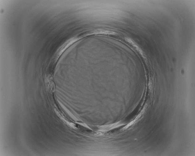 X0000081571369200702051203