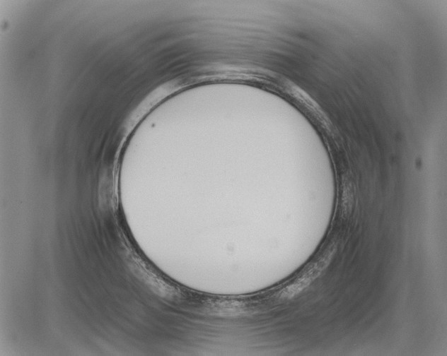 X0000081571370200702051203