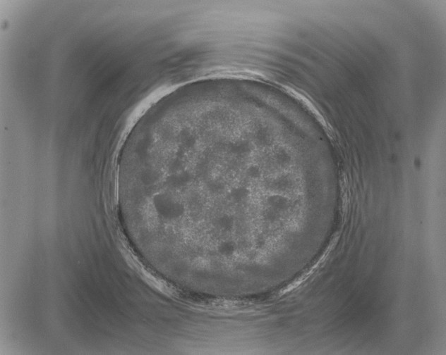 X0000081571371200702051203