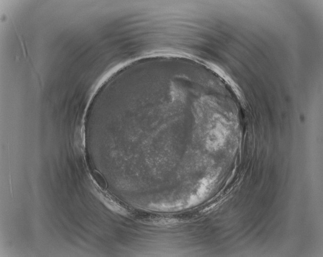 X0000081571372200702051203