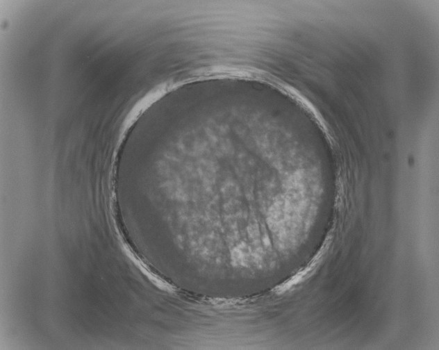 X0000081571373200702051203