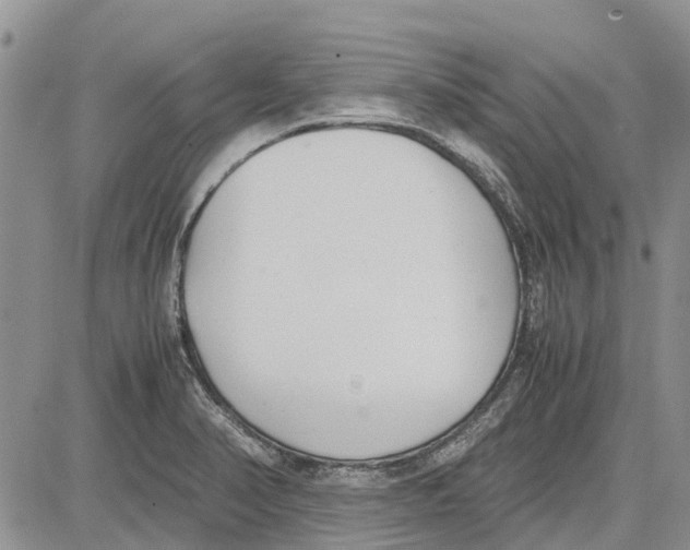 X0000081571374200702051203