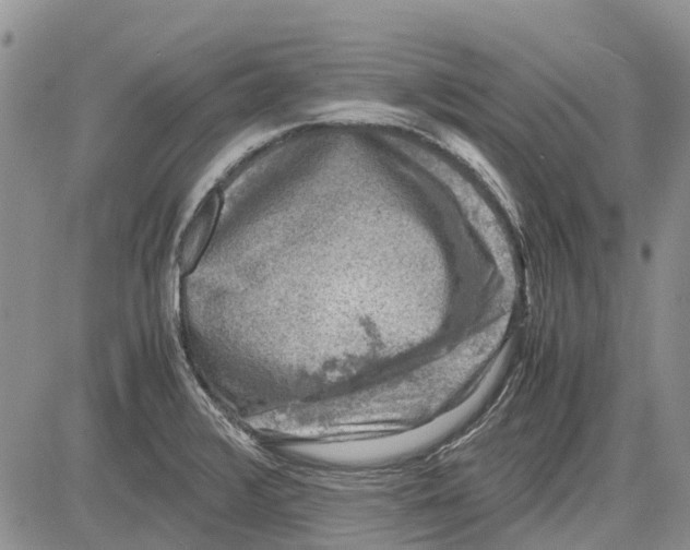 X0000081571376200702051203