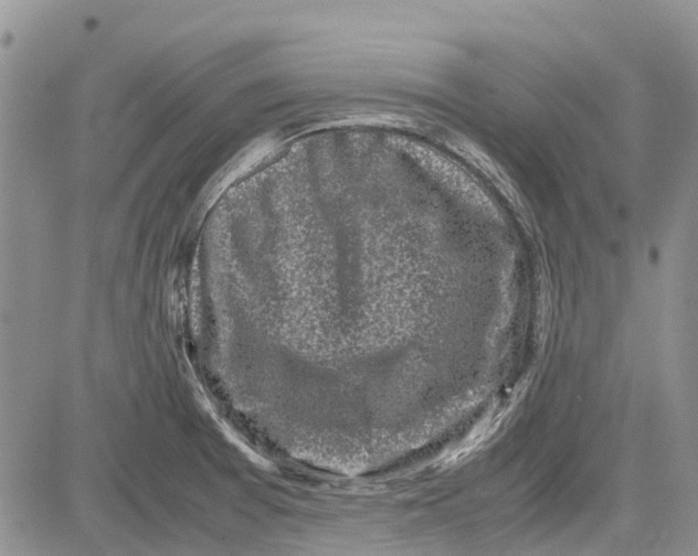 X0000081571377200702051203