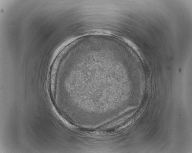 X0000081571379200702051203