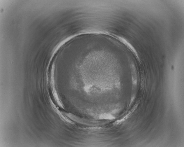 X0000081571380200702051203