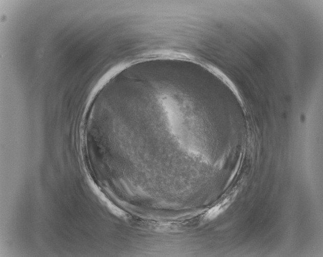 X0000081571381200702051203