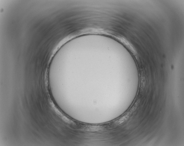 X0000081571382200702051203