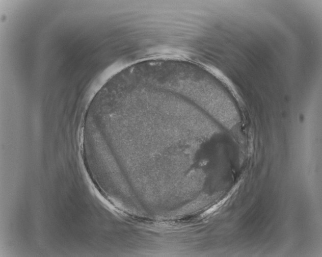 X0000081571383200702051203