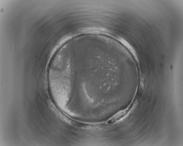 X0000081571384200702051203